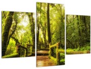 Obraz machové džungle (90x60 cm)