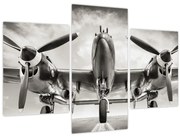 Obraz - Warbird (90x60 cm)