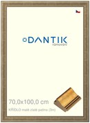 DANTIK rám na obraz 70x100 | KŘÍDLO malé zlaté patina (Plexi Čiré)