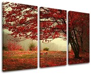 Obraz na stenu STROMY | rôzne rozmery