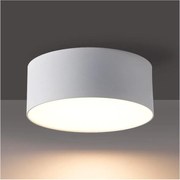 Brilagi - LED kúpeľňové stropné svietidlo FORIS LED/20W/230V pr. 15 cm biele IP44