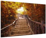 Obraz - Schody v prírode na jeseň (90x60 cm)
