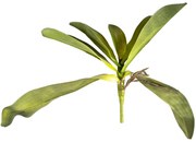 Umelý List orchidey s korienkami, 30 cm