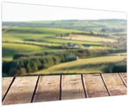 Obraz - Výhľad na krajinu (90x60 cm)