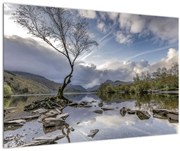 Obraz rieky za stromom (90x60 cm)