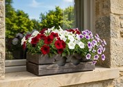 AMADEA Drevený obal s hrantíkom tmavý s vtáčikmi, 52x21,5x17cm, český výrobok