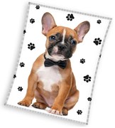 Detská mikroplyšová deka 130 x 170 cm - Francúzsky Buldoček Elegán