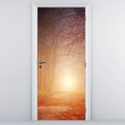 Fototapeta na dvere - Jesenný les v hmle (95x205cm)