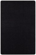 Kusový koberec Nasty 102055 Schwarz, 160x240, čierna, chodba / predsieň, Hanse Home