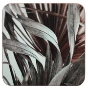 6 ks pevné korkové podtácky Palma - 10 * 10 * 0,4 cm