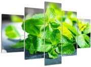 Obraz mäty (150x105 cm)