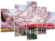 Obraz - Hirosaki, Japonsko (150x105 cm)