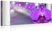 Obraz orchidea pri gréckych stĺpoch