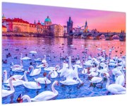 Obraz - Praha (90x60 cm)
