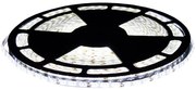 ECOLIGHT LED pásik - SMD 2835 - 50 m - 4,8 W/m - IP20 - studená biela