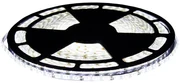ECOLIGHT LED pásik - SMD 2835 - 50 m - 4,8 W/m - IP20 - studená biela
