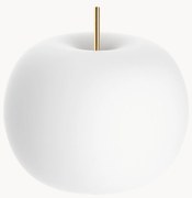 Stmievateľná stolová lampa Kushi