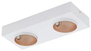 Eglo 39374 - LED Stmievateľné stropné svietidlo RONZANO 2xLED/3,3W/230V