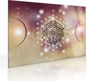 Sklenený obraz - Mandala s elementmi (70x50 cm)