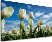 Obraz na stenu KVETY KV040E11 - 100x150 cm