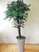 Umelý strom- Dub 180 cm