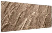 Obraz - Zlaté pole (120x50 cm)