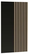 Nástenný panel Matilda SG10+11 (čierna + dub artisan). Vlastná spoľahlivá doprava až k Vám domov. 1059976