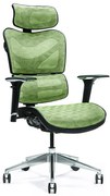 Ergonomické kreslo Ergo 600, mesh, zelené