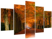Obraz - Jeseň Alej stromov (150x105 cm)
