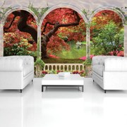 Fototapeta - Oblúky, strom, lesné drevo, krajina (254x184 cm)