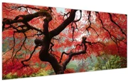 Obraz červeného japonského javora, Portland, Oregon (120x50 cm)