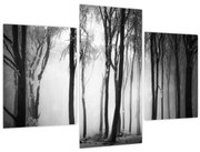 Obraz - Vlk v temnom lese (90x60 cm)