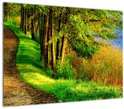 Sklenený obraz chodníky pozdĺž vody (70x50 cm)