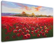 Obraz na plátne LÚKA | rôzne rozmery