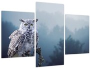 Obraz - Sova snežná (90x60 cm)