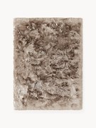 Lesklý koberec's vysokým vlasom Jimmy