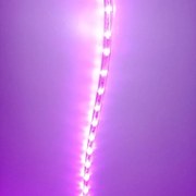 DECOLED LED hadice 50 m, růžová, 1500 diod, IP44 Easy Fix