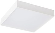 Sapho Sapho, RISA stropné LED svietidlo 10W, 230V, 28x28cm, biela, LS030B