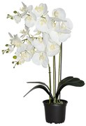 Prémiová umelá orchidea s 3 výhonkami