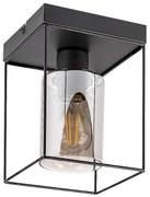 Rabalux 71031 - Stropné svietidlo CHADWICK 1xE27/25W/230V