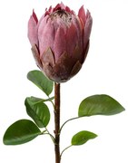 Fialová umelá dekorácia kvetina Protea - 10*10*65 cm