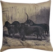 Dekoračné vankúš Jazvečíky - 43 * 43 cm