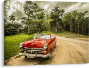 Obraz - auto veterán v prírode (70x50 cm)