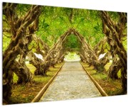 Obraz - Živý tunel z plumérií (90x60 cm)