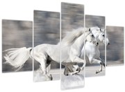 Obraz - Biele kone v zime (150x105 cm)