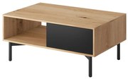 Konferenčný stolík Flow Fl102 Dub Artisan/Čierna perla