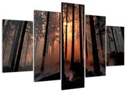 Obraz temného lesa (150x105 cm)