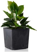 PLASTOVÝ KVETINÁČ FLORE 25X25 CM IMITÁCIA BETÓNU ČIERNA