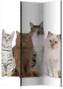 Artgeist Paraván - Sweet Cats [Room Dividers]