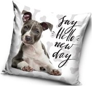 Vankúš s Pitbullom - motív Say hello new day - Pozdrav nový deň - 40 x 40 cm